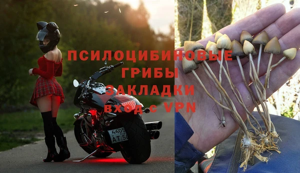 первитин Богородск