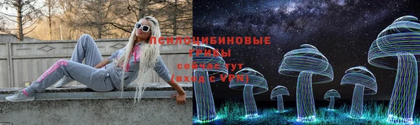 мет Богданович