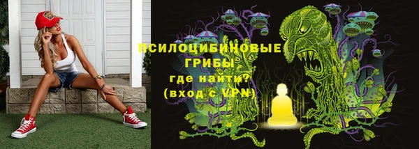 мет Богданович